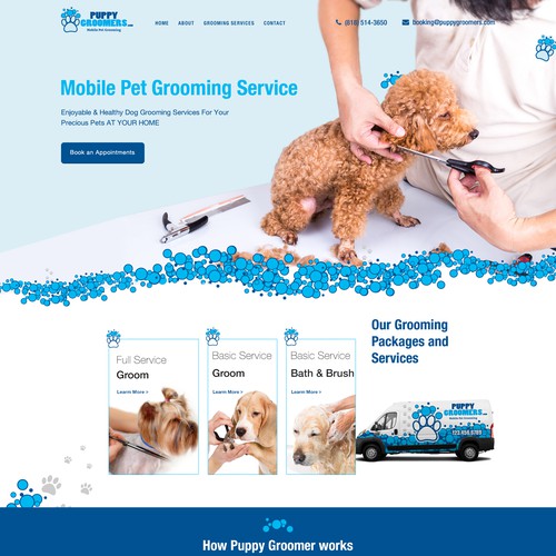 Bold homepage design for pet groomer