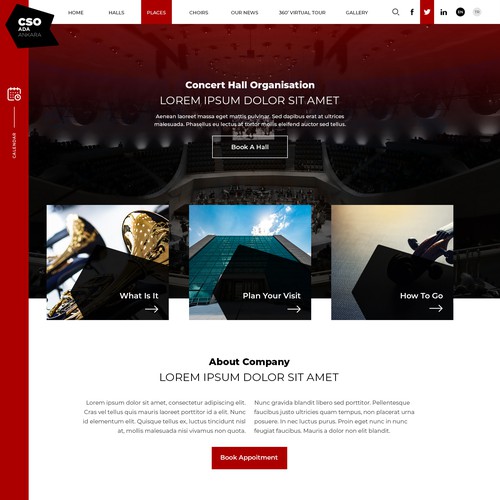 Website Design for CSO