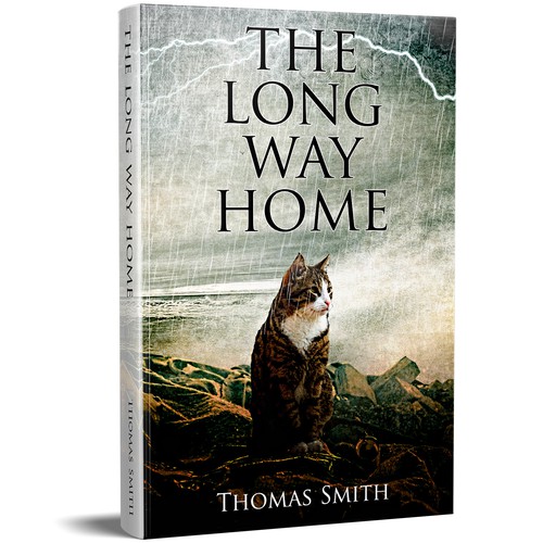 The Long Way Home