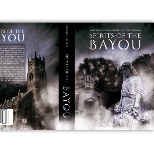 Book Cover that follows a trail of Historic Churches and Cemeteries