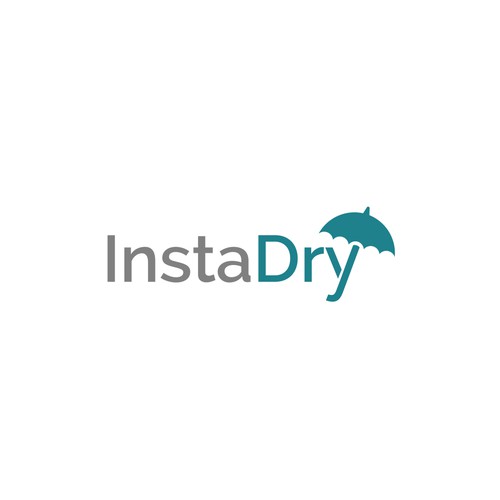 Wordmark combination logo for instadry