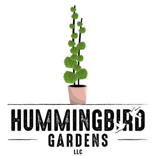 HUMMINGBIRD