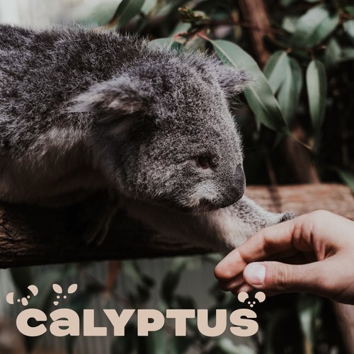 calyptus