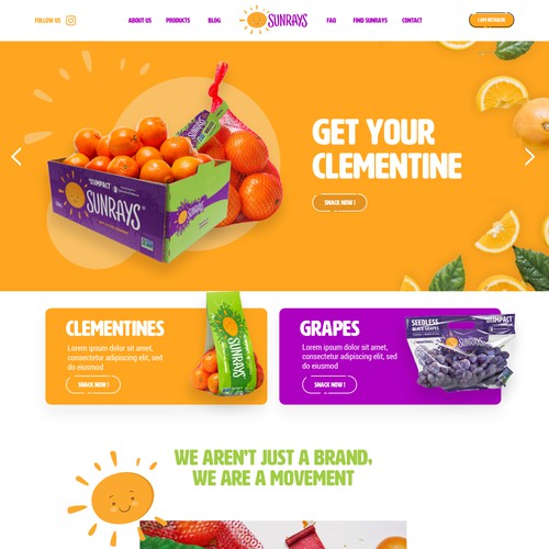 Website design