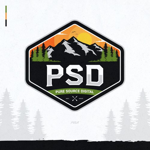 Professional with an outdoor feels logo for Pure Source Digital (PSD)