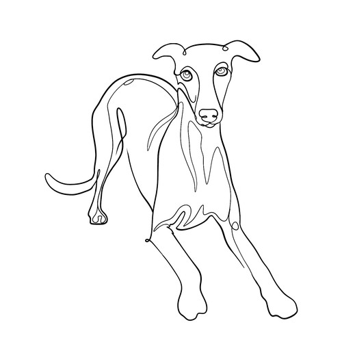 Line Art Dog