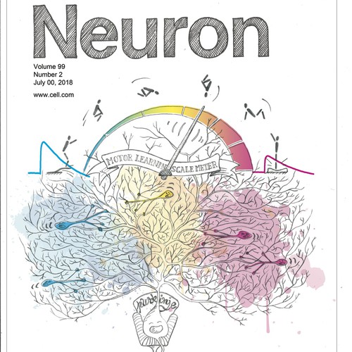 Illustration for the cover of prestigious neuroscience journal, Neuron