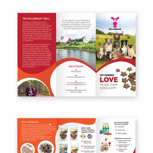 Pet's food tri-fold brochure