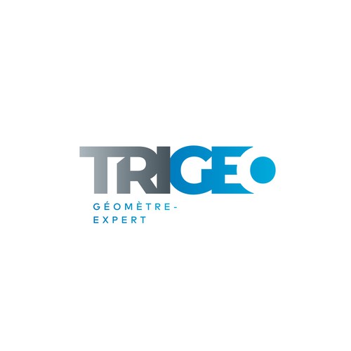 TRIGEO Expert Surveyor Logo