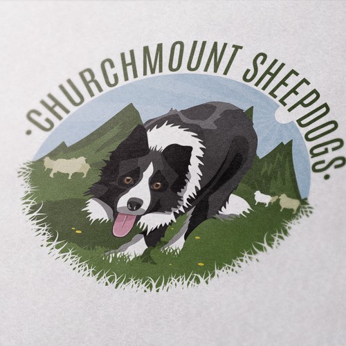 Ireland sheepdog 