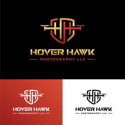 Logo design concept for Hover Hawk Photography LLC
