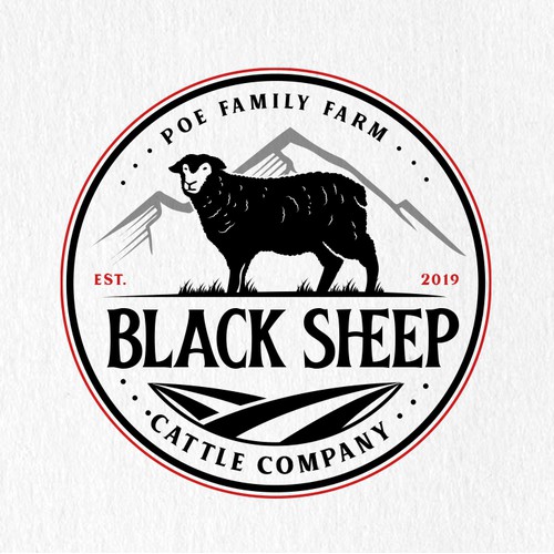 Black Sheep Cattle Company