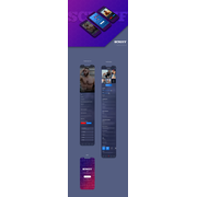 Reviewed design