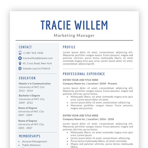 Professional Resume Design