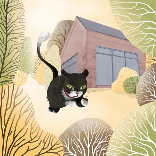 The Adventures of MR BOO
