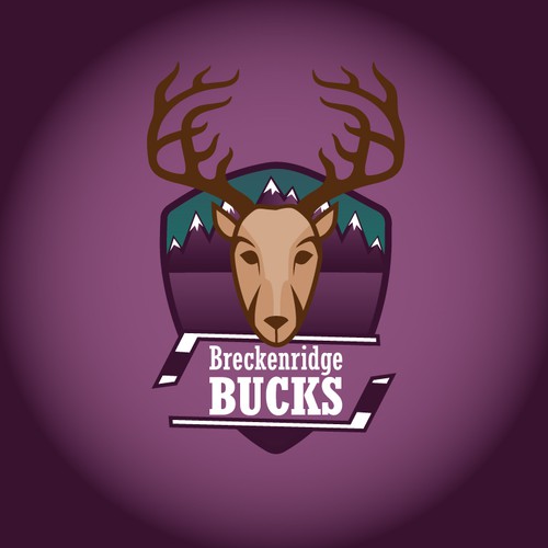 Breckenridge Bucks Semi Professional Ice Hockey Team