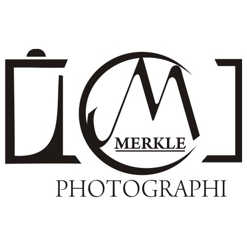 Create an elegant, sophisticated logo for a luxury brand.