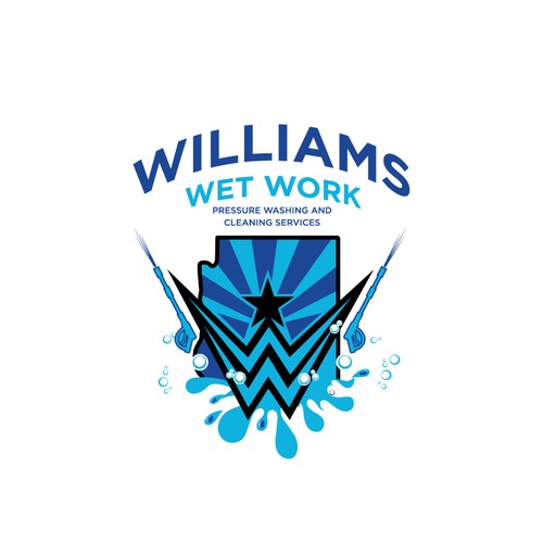 Williams pressure washing and cleaning services