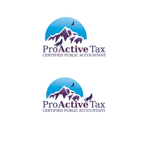 Public accountatnt project