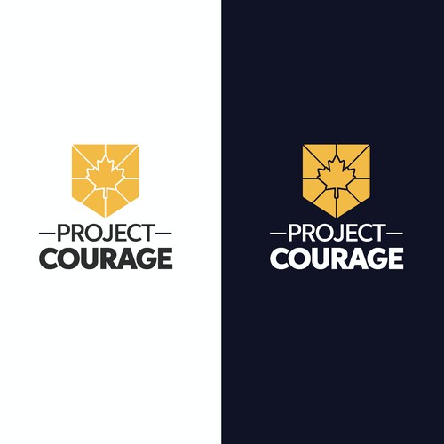 Project Courage: Logo for Non-profit Initiative