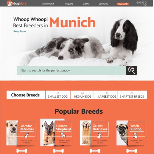 Webdesign for online dog platform / marketplace / magazine