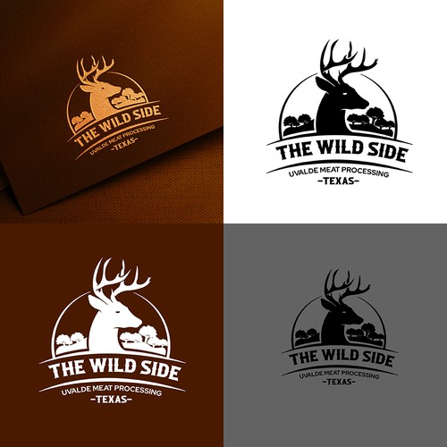 Camping Logo Design 