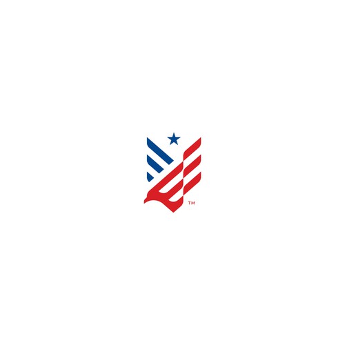 Logo / Patriot National.