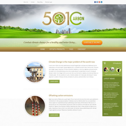 501Carbon: Web Design