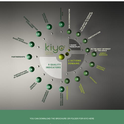 Infographics to express the identity of an NGO.