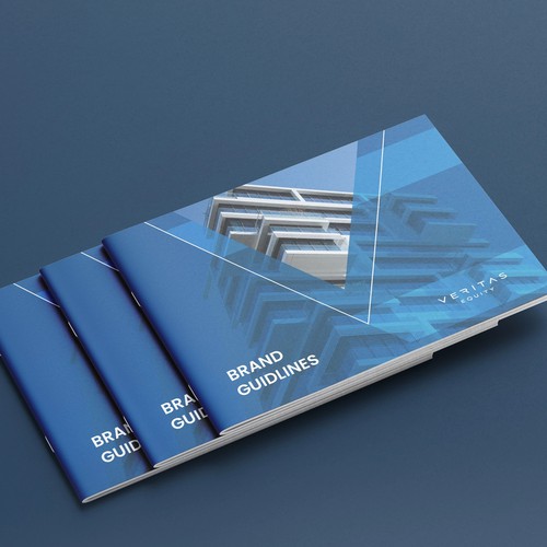 Logo and Brand Guide for Investment Firm.