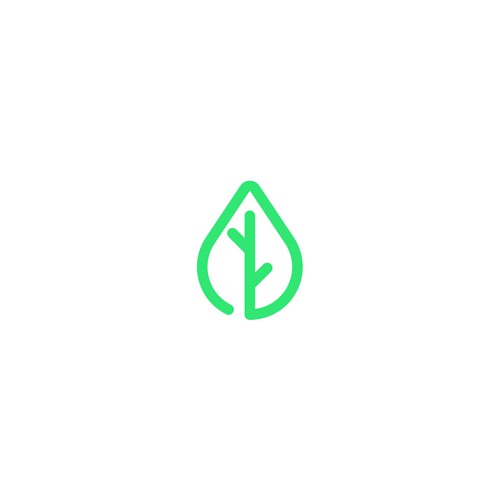 Leaf Logo Concept