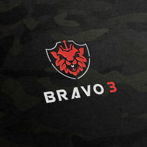 Logo concept for Bravo 3