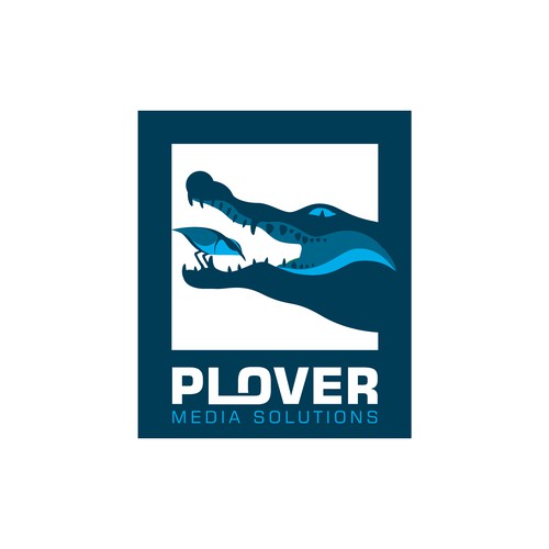 Logo design for Plover Media Solutions