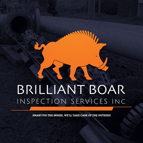 Brillian Boar