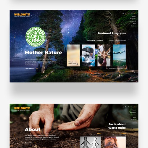 Website design for website for travel company