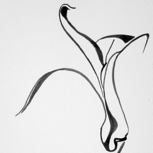 Abstract Lily for Fine Jewelry brand