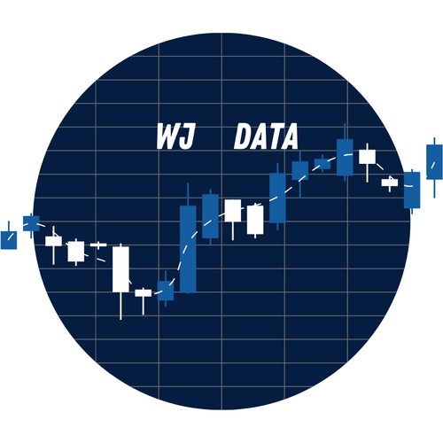 Data Logo for WJ Data
