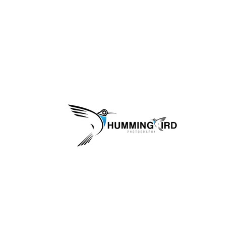 Bold Modern Logo for Hummingbird Photography