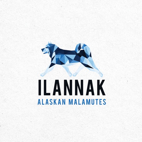 Ilannak Alaskan Malamutes