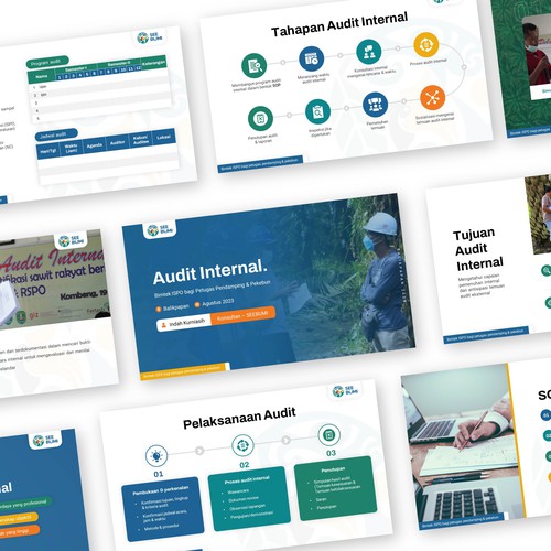 Audit internal