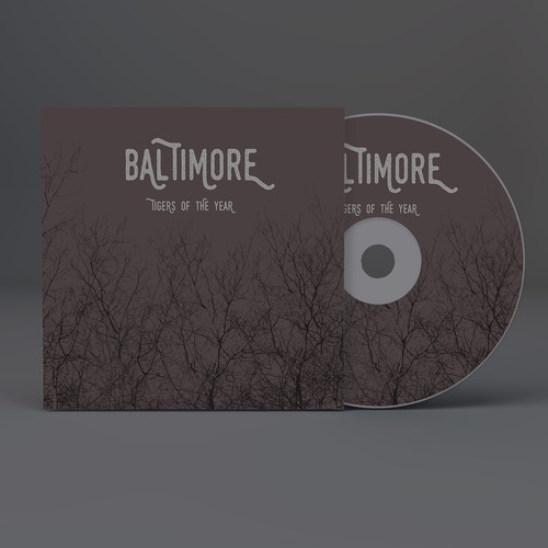 ALBUM COVER FOR BALTIMORE BAND