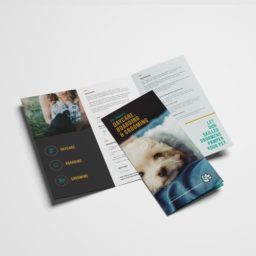 Trifold brochure for Dr. Dave's Daycare, Boarding & Grooming