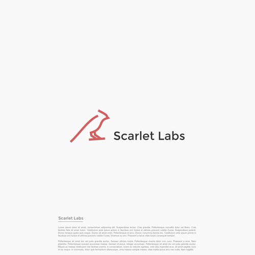 scarlet labs