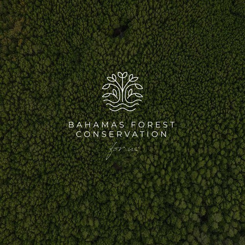 Logo for Bahamas Forest Conservation
