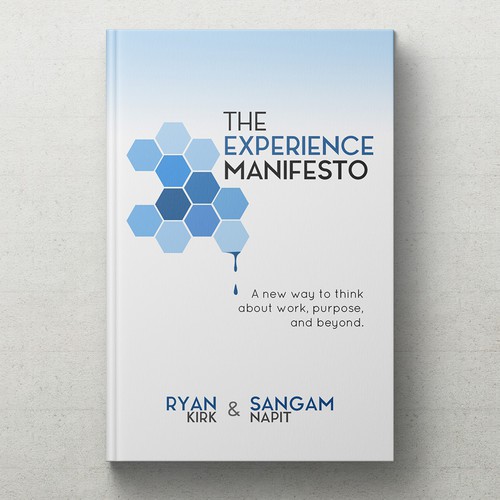 the experience manifeso