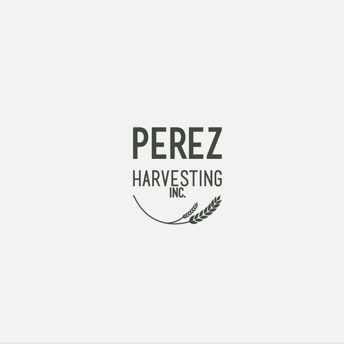 Logo concept for Perez