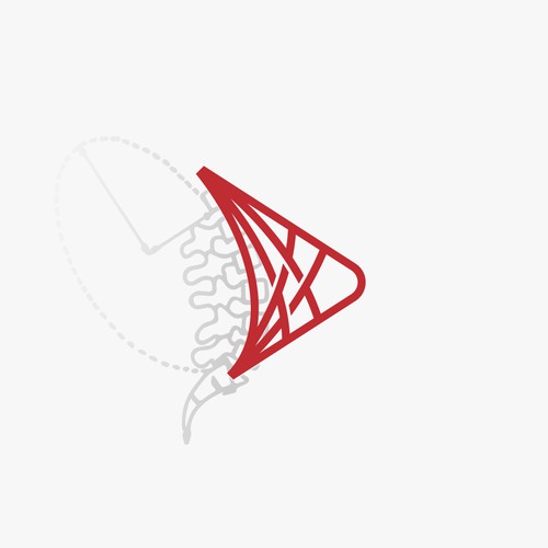 Logo designs for Kinetic Spine & Rehab!