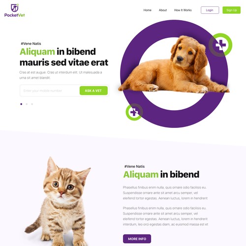 Vet care website design