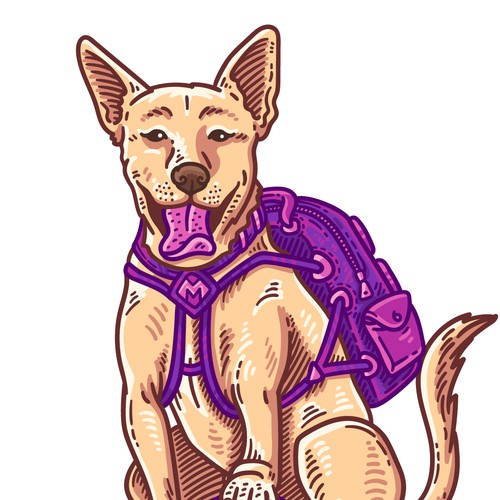 Manderville Canine Academy