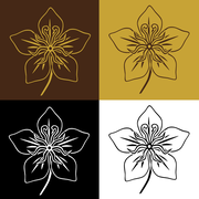 Reviewed design